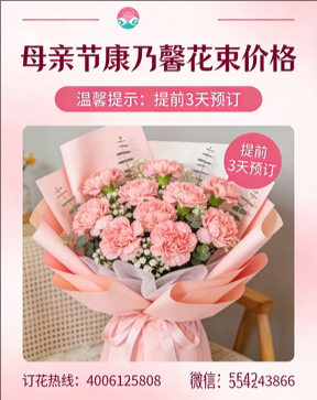 铜仁江口县花店母亲节康乃馨花束