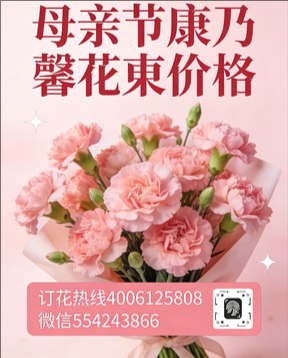 铜仁江口县花店母亲节康乃馨花束